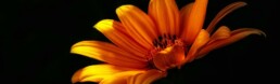 Blog mooigeregeld